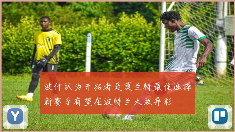 波什认为开拓者是莫兰特最佳选择新赛季有望在波特兰大放异彩